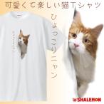 猫 ネコ 猫の日 おもしろTシャツ ( ひょっこりニャン :昇華)( ポリエステル ドライ ) ネタ サプライズ 雑貨 グッズ プレゼント (syk)