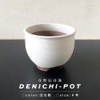 伝市鉢 コウロ型【白化粧】4号 植木鉢 陶器 丹波立杭焼 市野伝市窯 サクラソウ 山野草 塊根 多肉 アガベ かっこいい おしゃれ