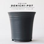 伝市鉢 シャジン型【ブラック】6号 