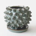 ショッピング陶器 ソルトゲ【グリーン】 Φ18cm×14cm 植木鉢 受け皿付 5号 陶器 棘 球形 ボール 丸 緑 ブルー ミント アガベ コーデックス ビザールプランツ ヴィンテージ 無骨