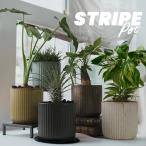 美濃焼 STRIPE-POT 4号 12cm 陶器 植木鉢 受け皿付 シンプル 縦縞 陶器鉢 おしゃれ かっこいい 手触り 和モダン 北欧 筒型 ポトス サボテン 多肉 塊根 アガベ
