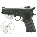 ｅｖｅｒｎｅｗ マグナムスターターＩ EGA231