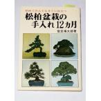  сосна Kashiwa бонсай. починка 12 месяцев доверие .. Taro день текст . фирма D003-150