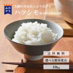 日照時間と清らかな水に恵まれる美濃加茂市で育ったハツシモ　米 精米 岐阜県産ハツシモ 10kg 令和7年度 玄米 精米無料 発送直前に精米 美濃加茂市産
