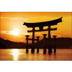 PT-015. остров бог фирма * большой тории 