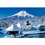 PT-093 雪に埋もれる忍