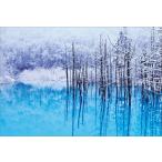 PT-172 樹氷を映す青い池