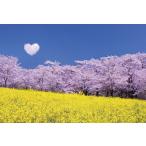 PT-191 Heart .* Sakura ... цветок 