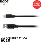 RODE SC18 USB-C to USB-A ケーブル 【メール便 送料無料】