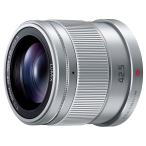 パナソニックH-HS043-SLU...