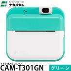 na бегемот cocos nucifera CAM-T301GN игрушка na камера гладкий зеленый [ почтовая доставка бесплатная доставка ]