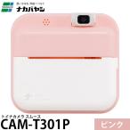 na бегемот cocos nucifera CAM-T301P игрушка na камера гладкий розовый [ почтовая доставка бесплатная доставка ]