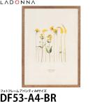ラドンナ DF53-A4-BR フォトフレーム アバンティ A4サイズ【メール便 送料無料】【即納】