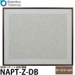 ケンコー・トキナー NAPT-Z-DB NEWパチット全紙 額縁 ダークゴールド 【送料無料】