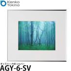 ケンコー・トキナー AGY-6-SV ギャラリー 六切 シルバー 【送料無料】