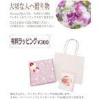 有料ラッピング★ ギフト 包装 ラッピング プレゼント