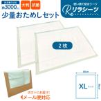 ( пробный 2 листов ) сирень простыня XL размер пробный 2 шт. комплект 