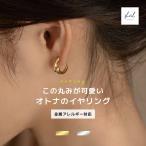 イヤリング 金属アレルギー フープイヤリング ちいさめ 軽量 リング シンプル マットゴールド マットシルバー