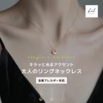 ネックレス 金属アレルギー レディース 華奢 チェーン リング フープ ペンダント シルバー ニッケルフリー