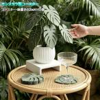 コースター コップ敷き カップマット モンステラ 葉っぱ 3D 穴あき葉っぱ 観葉植物風 テーブルマット 鉢置き 花瓶 食卓飾り インテリア PVC 防水 爆買