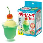 クリームソーダ 食品サンプル 手作り キット デザート 工作キット 自由研究 ワークショップ 体験