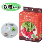  впервые .. огород . редис культивирование комплект весна . вид .. hearts ka дайкон 2 10 день дайкон свободный изучение 