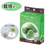  впервые .. огород . зеленый перец культивирование комплект весна . вид .. свободный изучение 