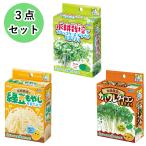 水耕栽培キット3点セットブロッコリ...
