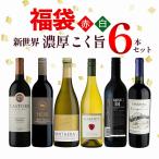 ワイン ワインセット 【1/19(木)より順次出荷】福袋 2023年新世界 濃厚 こく旨 福袋 赤白6本セット[送料無料] wine