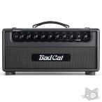 Bad Cat 【WEB限定在庫処分セール】 LYNX Head（バッドキャット）