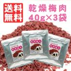送料無料！紀州南高梅の乾燥梅肉フリ...