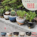 信楽焼 植木鉢 陶器 おしゃれ 山草鉢 フラワーポット サボテン鉢 多肉鉢 プランター 国産 鉢植え 盆栽鉢 山野草鉢 鉢 焼き物 選べる5色 足付き植木鉢 sa-0334
