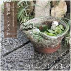  Shigaraki . водяная лилия горшок me Dakar горшок модный оризия горшок керамика горшок с водой биотоп круглый аквариум Shigaraki жарение водяная лилия горшок - s горшок рука ... река . имеется ( маленький ) su-0122