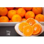 みかん 【ハウス栽培・濃くて あまい ！】山下紅みかん（5kg×2箱)