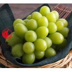  виноград фрукты автомобиль in мускат большой .1. примерно 700g Okayama вид нет подарок фрукты. ... было использовано фрукты зима подарок подарок по случаю конца года 