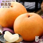  Okayama префектура производство новый высота груша 700g×5 5 шар большой шар фрукты фрукты нет .... мир груша коробка .. было использовано местного производства красный превосходящий синий превосходящий .... нет нет подарок ваш заказ .. для подарок . покупка 