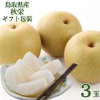  Tottori префектура производство осень .3 шар примерно 1kg.... груша фрукты фрукты нет .... мир груша коробка .. было использовано местного производства красный превосходящий синий превосходящий нет плоды подарок ваш заказ дом для .. для подарок . покупка 