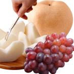  груша love . виноград нет Okayama префектура производство фиолетовый .... груша ... фиолетовый .1. примерно 600g... груша 1 шар примерно 750g~800g зима подарок подарок по случаю конца года фрукты. ... было использовано фрукты 