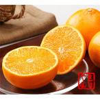 【出荷時期：2月上旬〜3月中旬頃】愛媛県産 せとか 高級 柑橘 お祝 内祝 お供え お返し お取り寄せ ギフト約2.5kg（約8〜11玉）詰