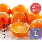 紅マドンナ（紅まどんな）Ｌサイズ1.2kg（6玉位）