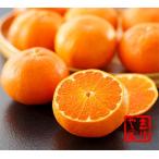 甘平約3kg（10〜13玉）詰