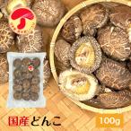 干し椎茸 国産 どんこ 100g 優良品 原木栽培 西日本産 無農薬 ( しいたけ 椎茸 シイタケ 干ししいたけ 干しシイタケ )