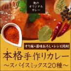 カレー　スパイス　お得　セット　20種　詰合せ（30皿分）　俺のカレー