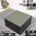 畳収納ボックス ロータイプ 約60×60×33cm 日本製 い草 畳ボックス 小上がり畳 畳スツール 家具 和室 和風