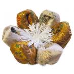  rin futon местного производства клетка . для цветок type Lynn подушка для сидения Sakura рисунок . три шт золотисто-коричневый 4 номер диаметр 14cm