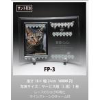  домашнее животное мемориальная табличка memorial фоторамка FP-3 Sand скульптура под рукой .. фоторамка стекло crystal современный Mini современный домашнее животное ..(H)