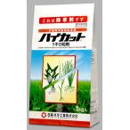ハイカット 1キロ粒剤 1kg