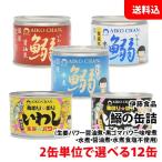 送料無料 伊藤食品 鰯の缶詰 12缶セ