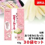 送料無料 おつまみになった 岩下の新生姜 30袋セット 毎日飽きない一ヶ月分 まとめ買い! お菓子 おつまみ 個包装 壮関
