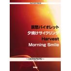 楽譜 ギターピース DEPAPEPE（デパペペ）／哀愁バイオレット／夕焼けサイクリング／Harvest／Morning Smile ／ ケイ・エム・ピー